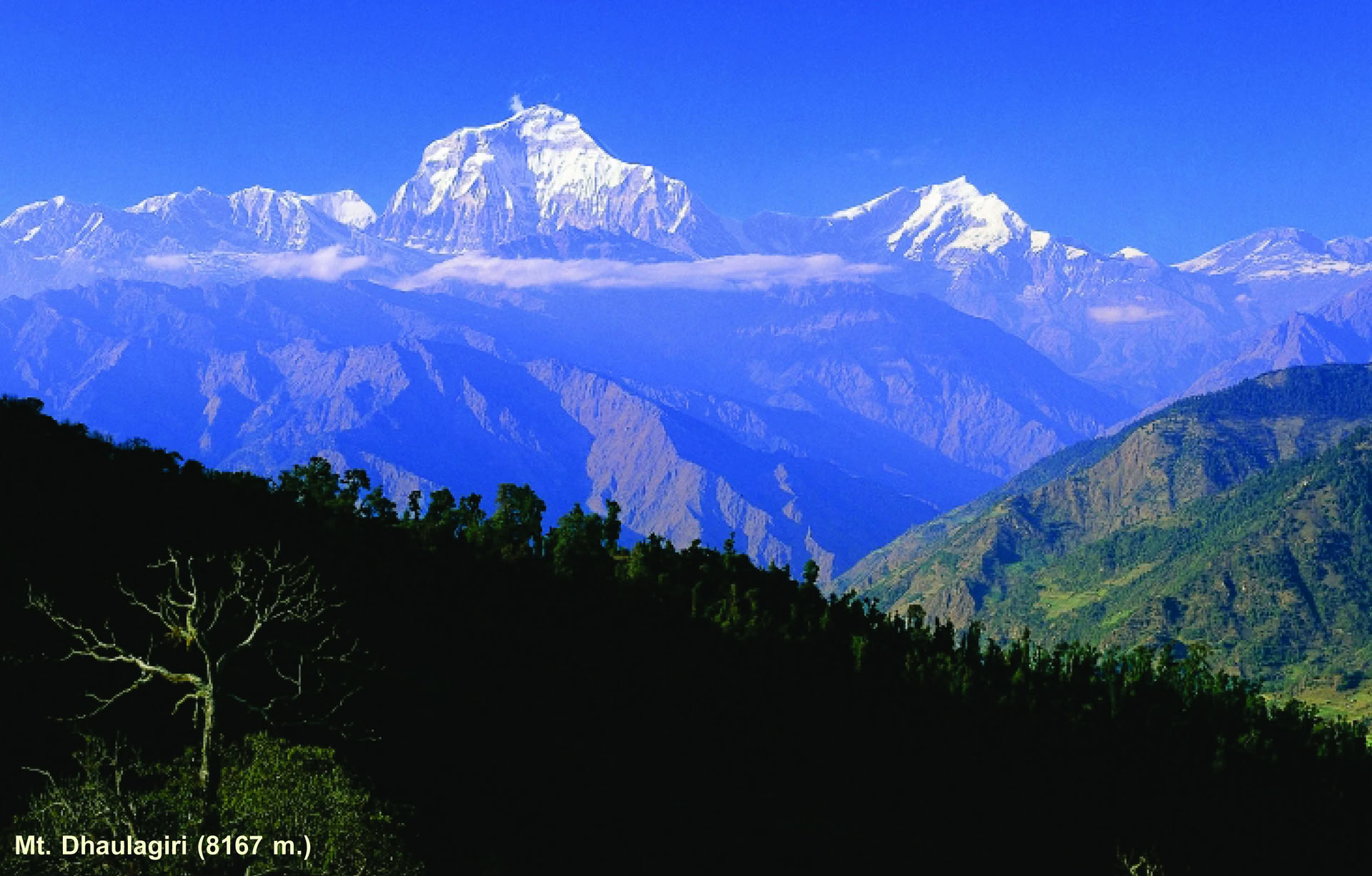 Machhapuchhre-leden och utforska Himalaya, 11 dagar