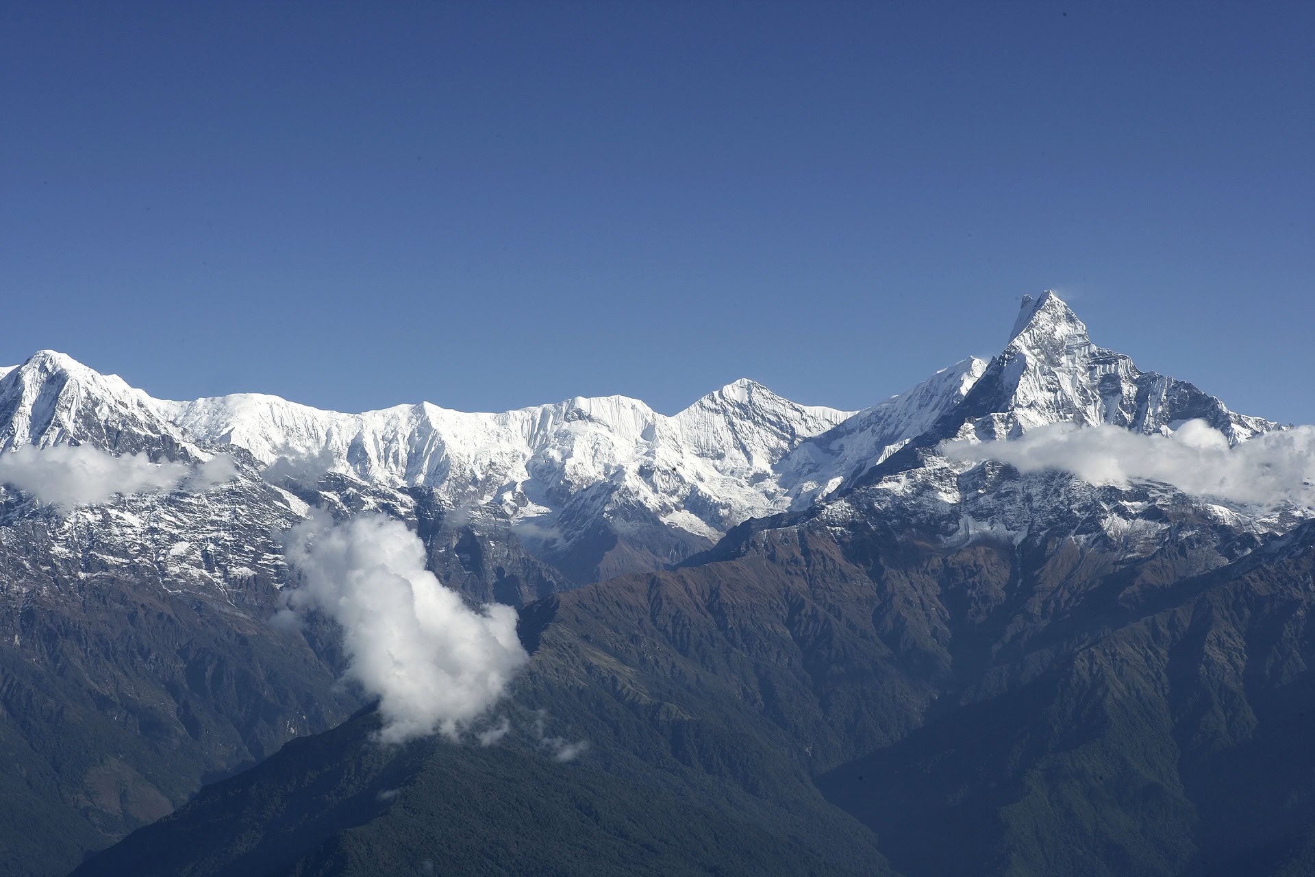 Machhapuchhre-leden och utforska Himalaya, 11 dagar
