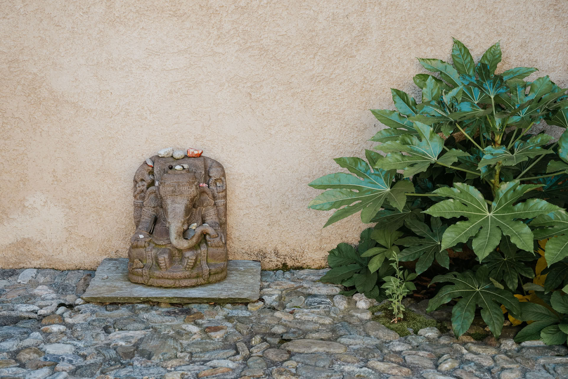 Yin-yogaretreat för inre stillhet