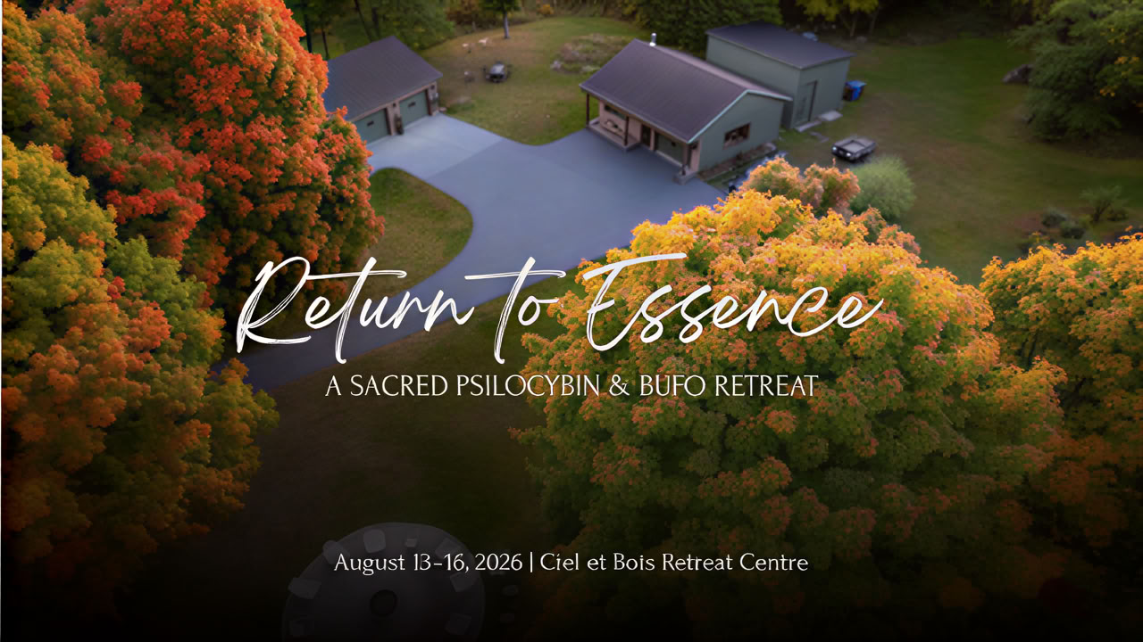 Återvänd till essensen ~ En helig psilocybin- och Bufo-retreat
