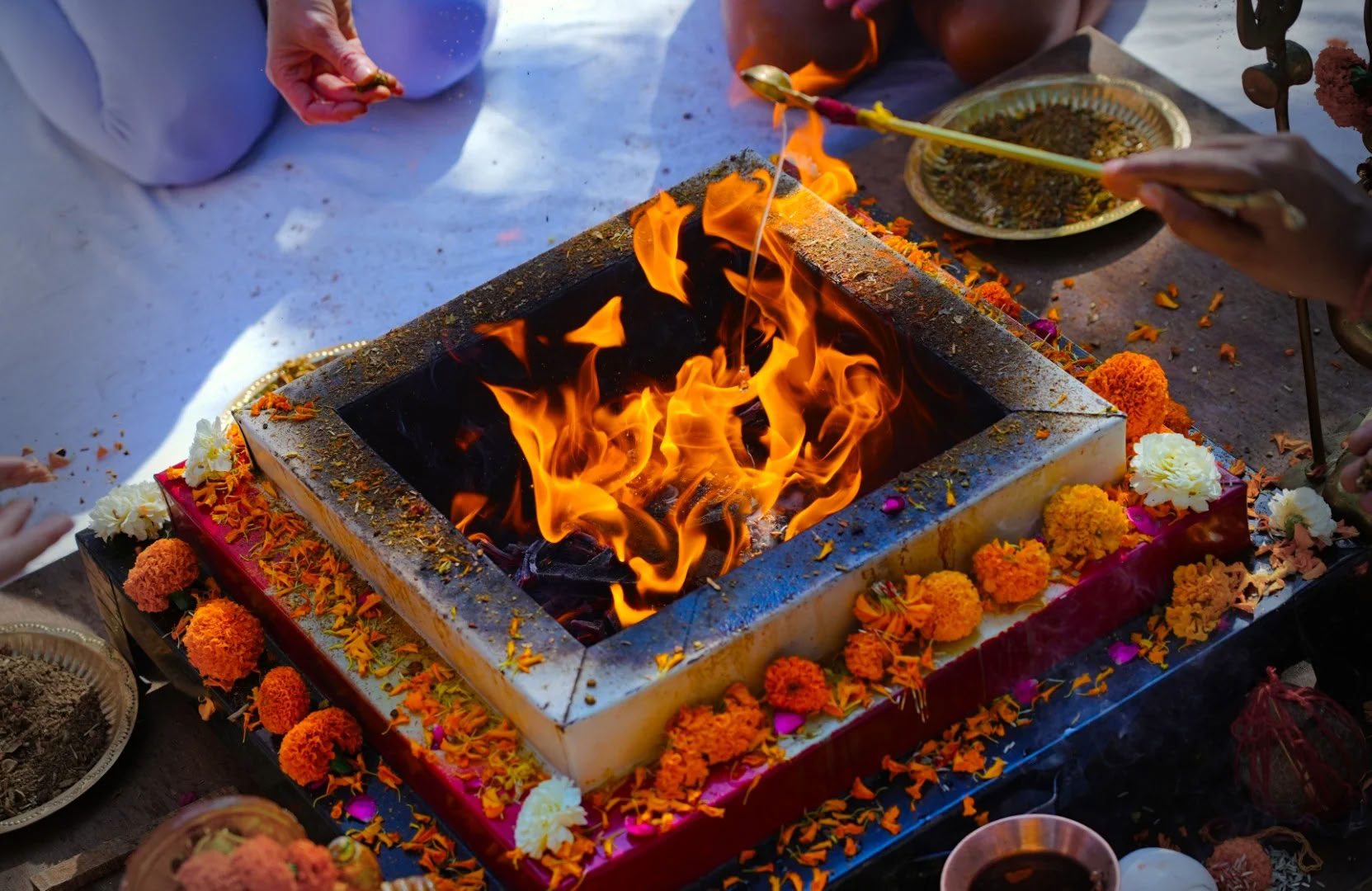 14-dagars yoga-retreat i Rishikesh, Indien