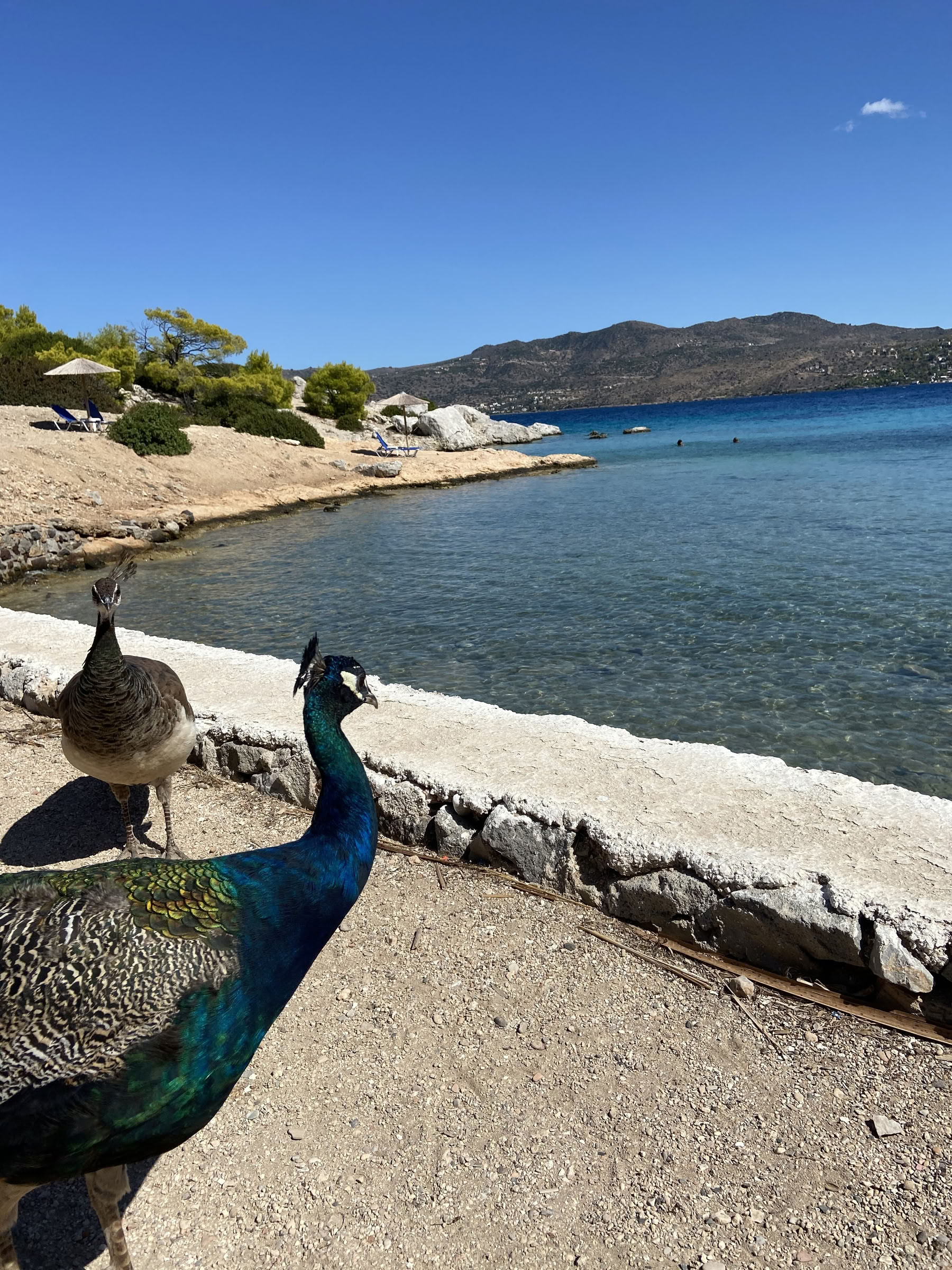 Vändpunktsretreaten