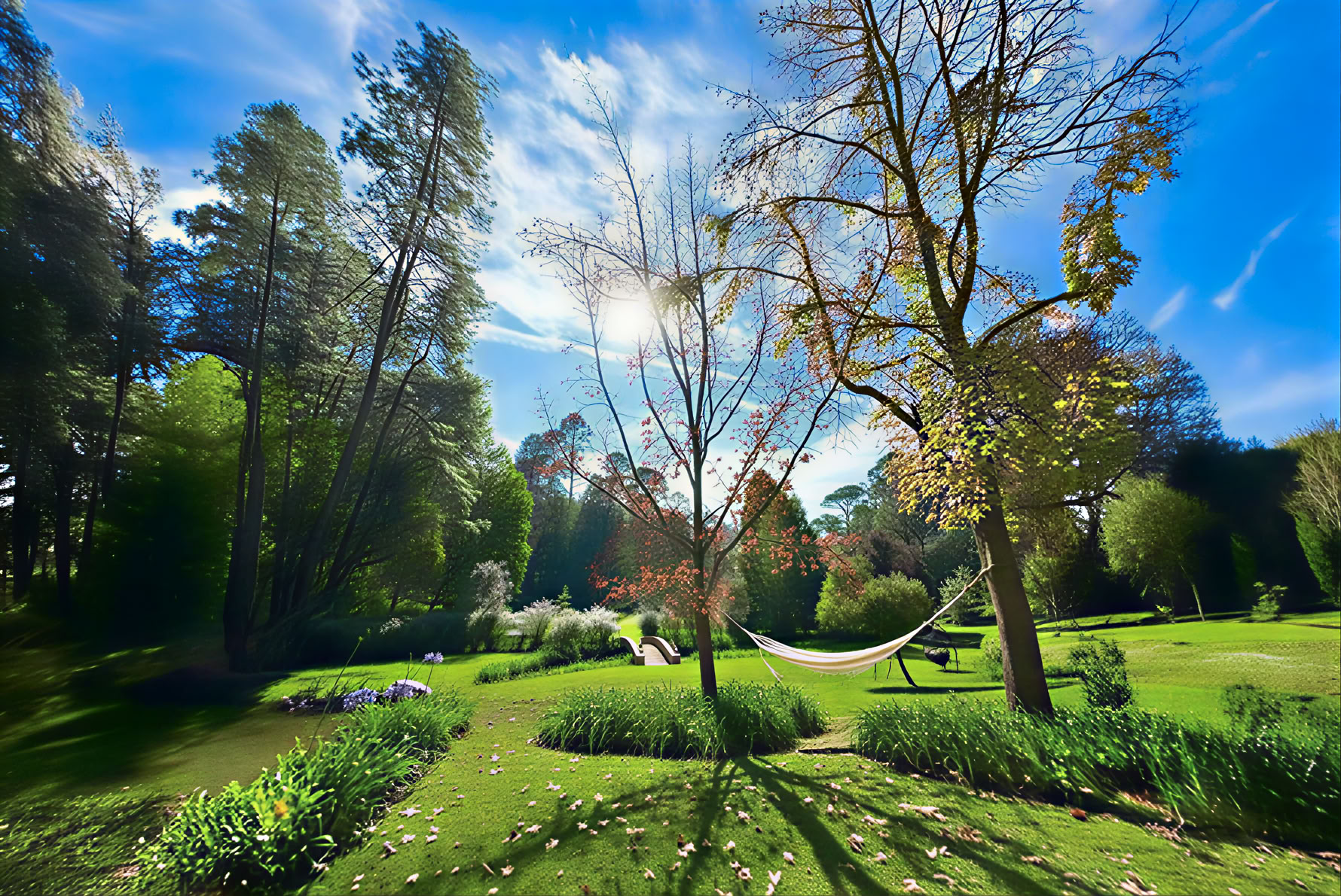 Psykedeliskt förstärkt meditationsretreat