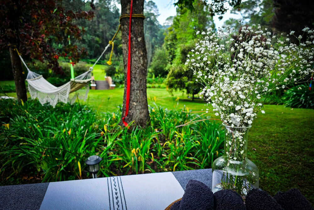 Retreat för psykedelisk smärthantering