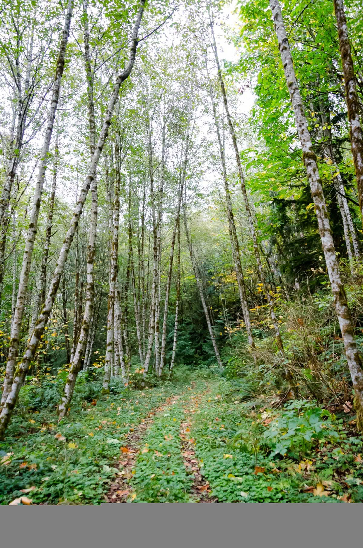 Höstdagjämningens yoga- och meditationsretreat