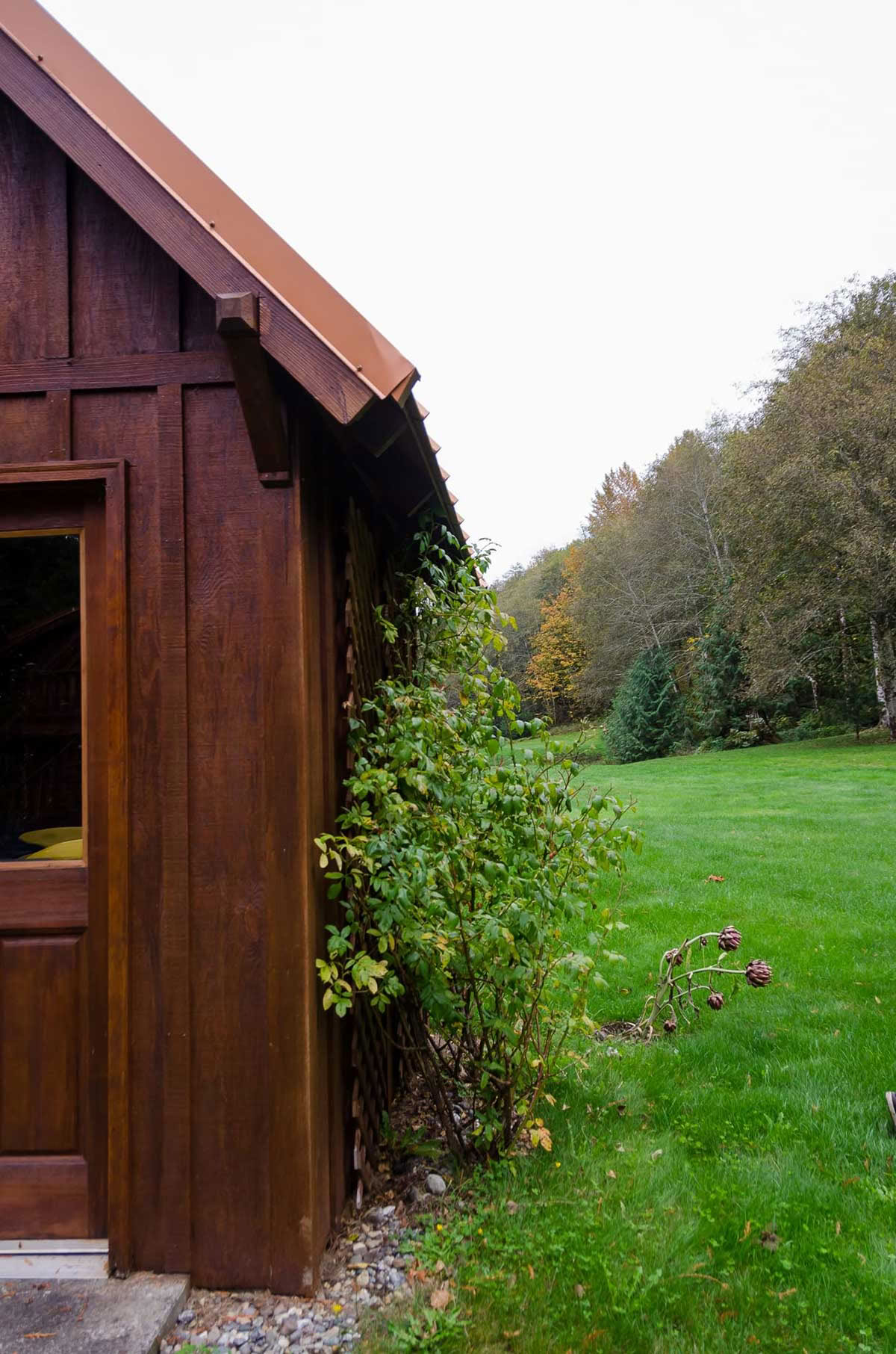 Detox-retreat – Sommarrening