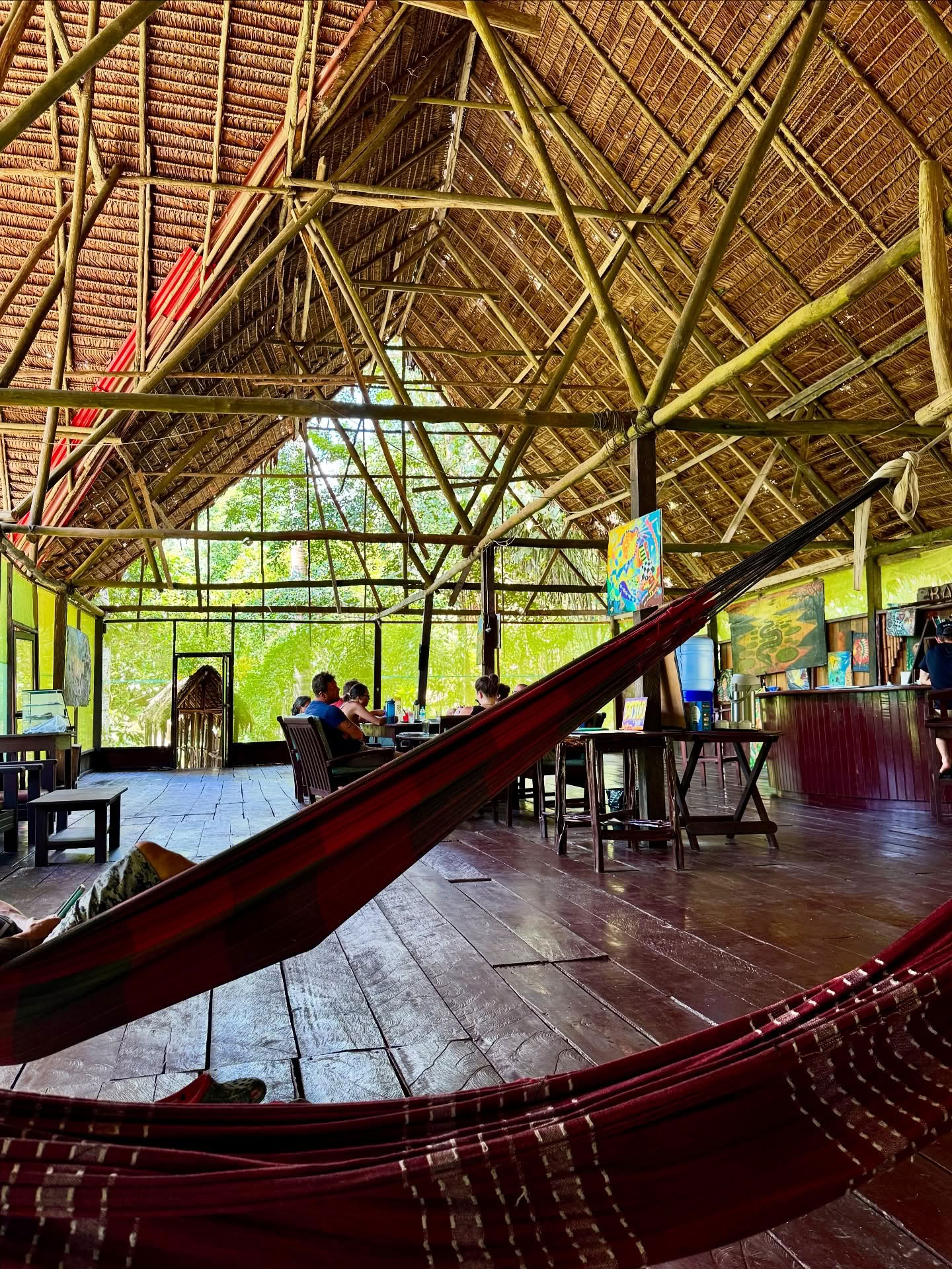 7-dagars ayahuasca-retreat