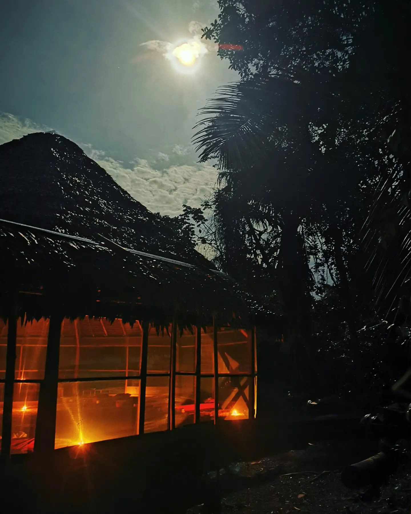 7-dagars ayahuasca-retreat