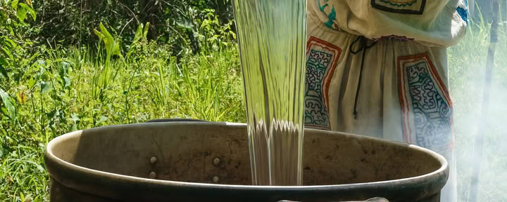 7-dagars ayahuasca-retreat