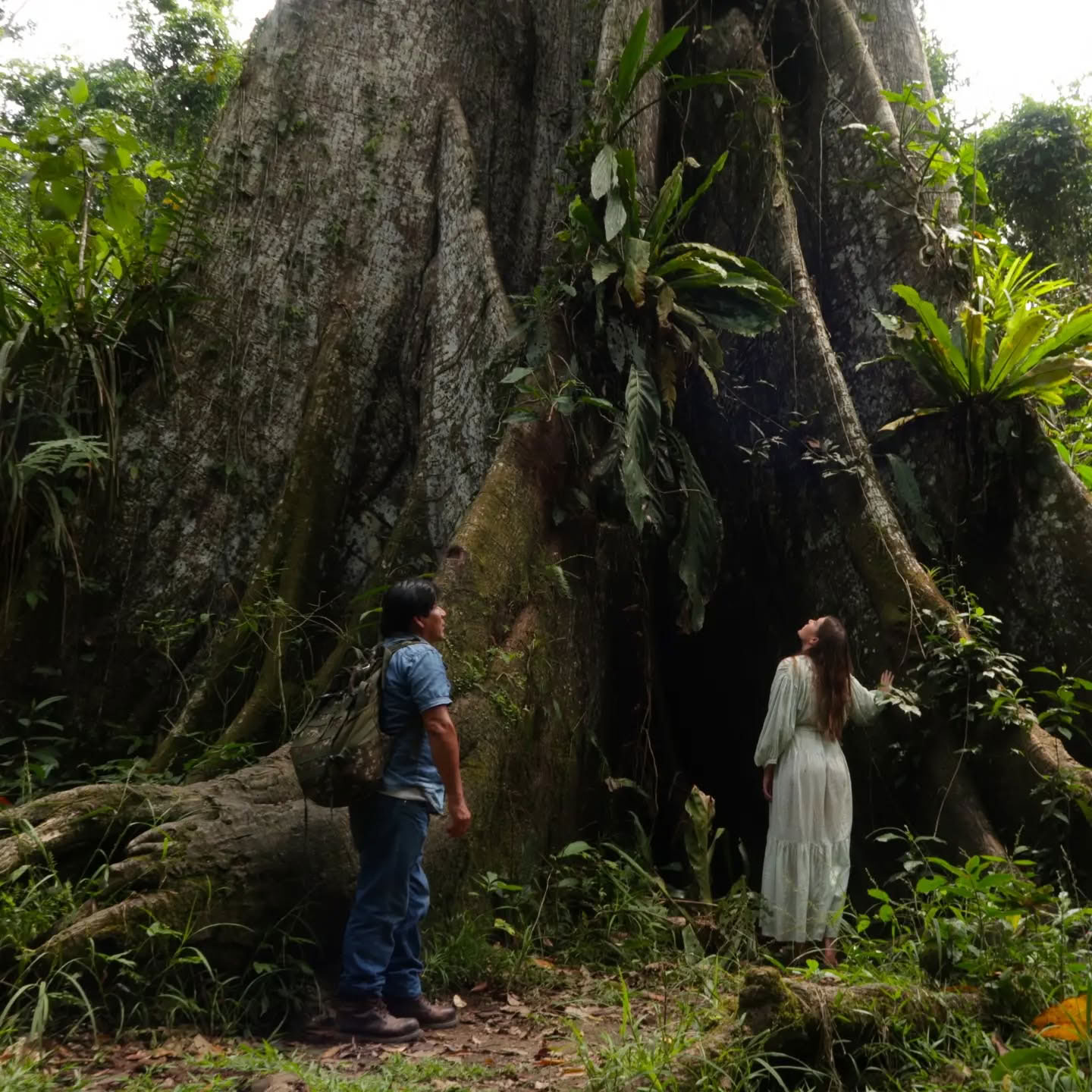 14-dagars ayahuasca-retreat