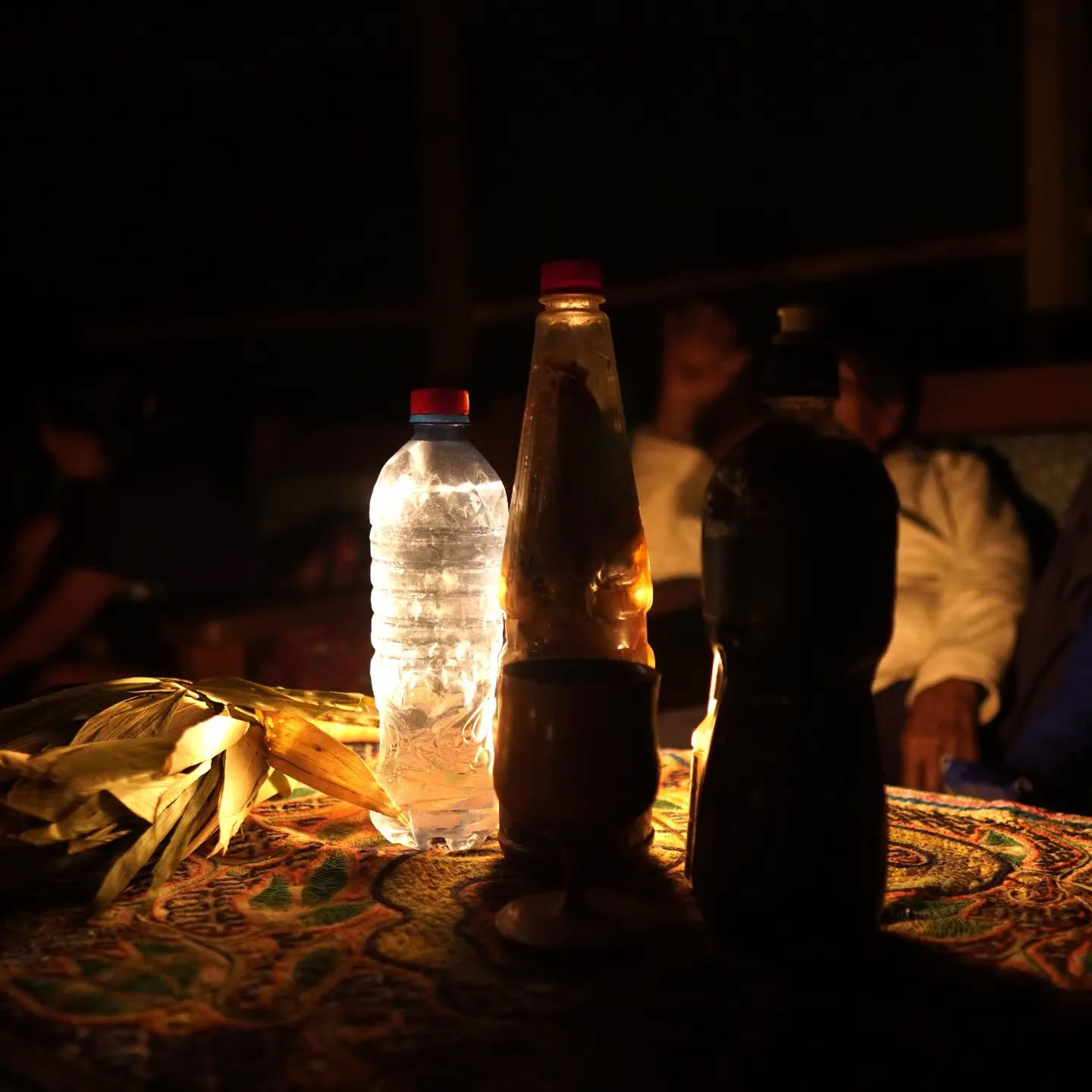 14-dagars ayahuasca-retreat