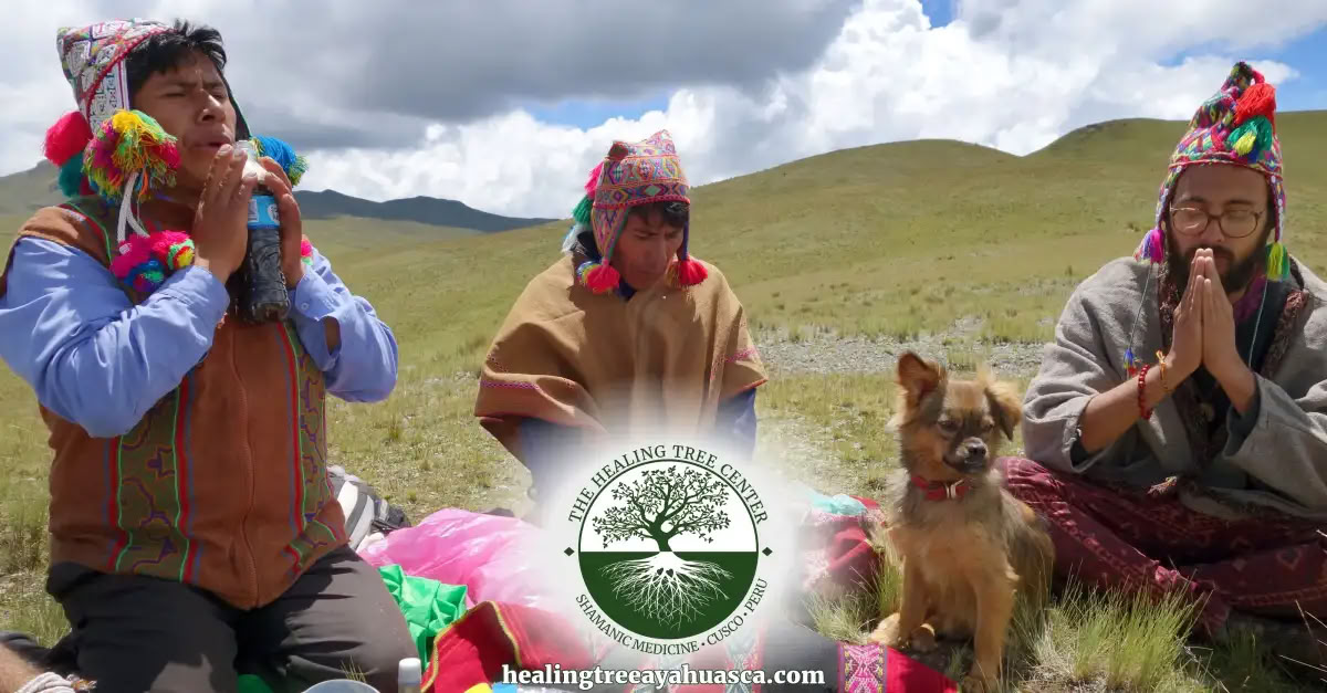 3-dagars San Pedro-retreat i Peru: 2 ceremonier och jordkontakt