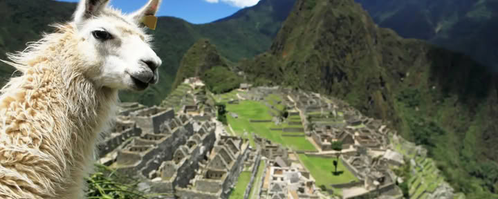 7-dagars ayahuascaretreat och Machu Picchu: helig läkningsresa