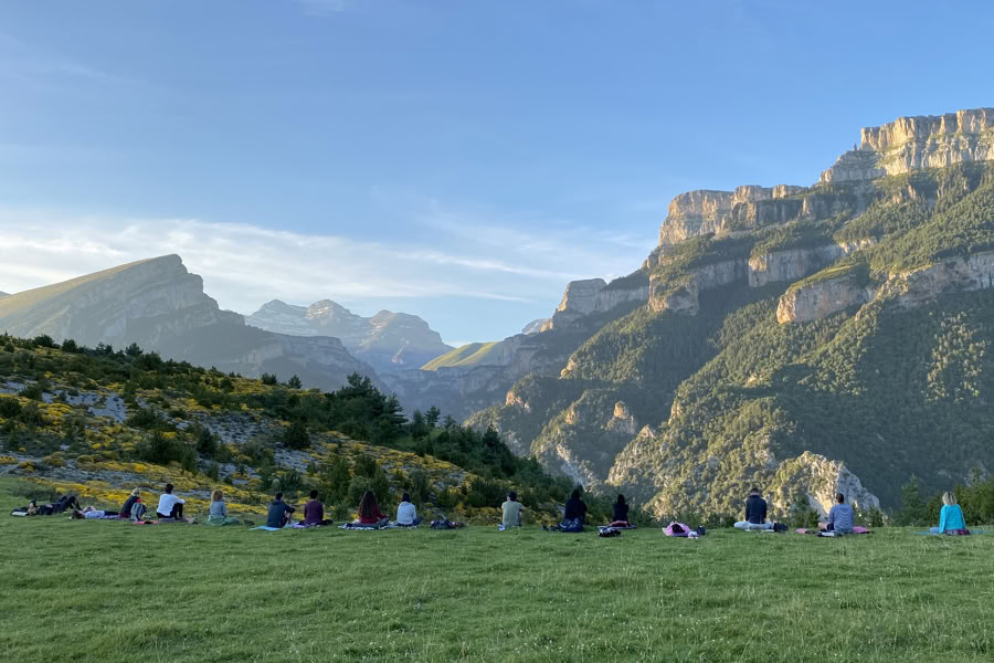 Dansande natur: rörelse-, yoga-, konst- och vandringsretreat