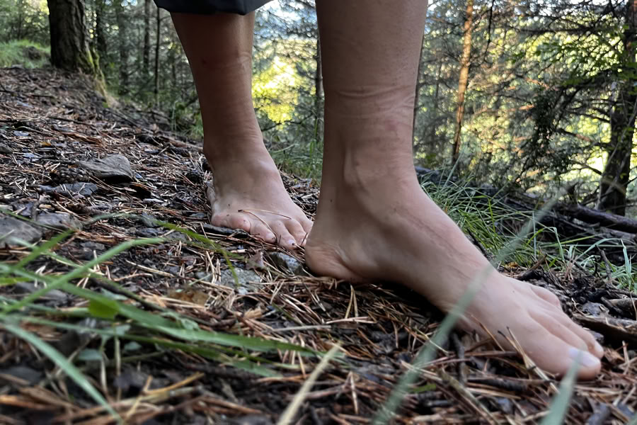 Dansande natur: rörelse-, yoga-, konst- och vandringsretreat