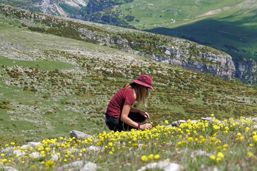 Vördnad för livet: Yoga, mindfulness och vandringsretreat