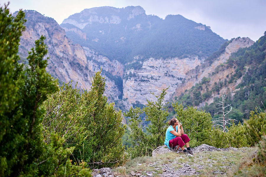 Vördnad för livet: Yoga, mindfulness och vandringsretreat