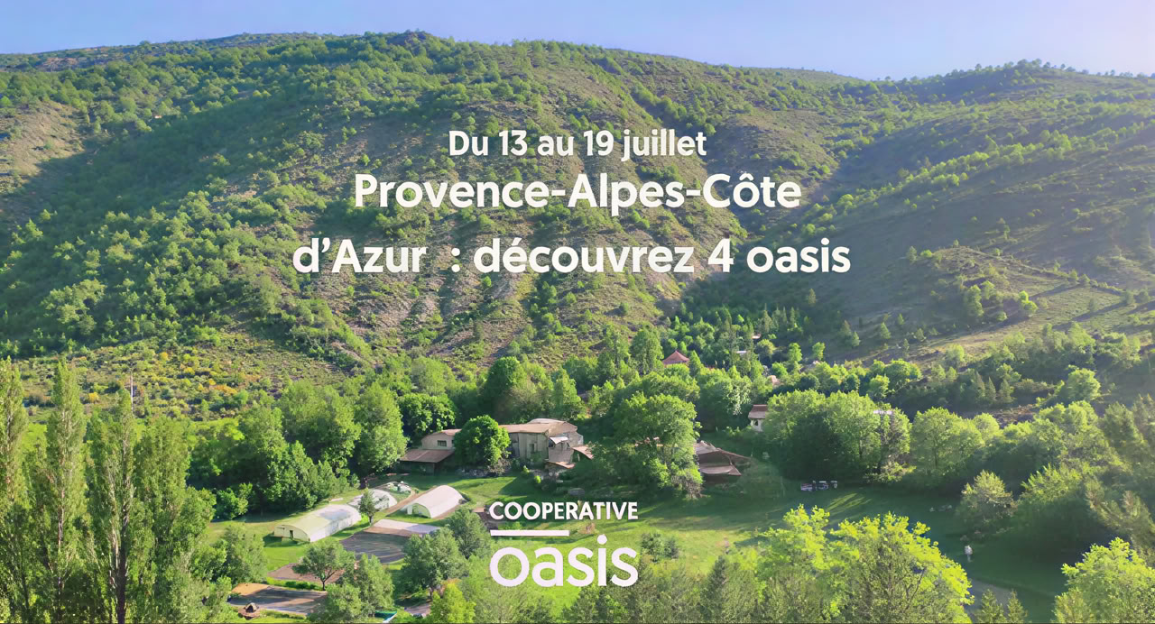 Voyage Oasis