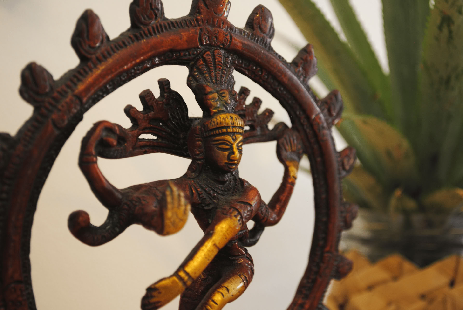Retreat Sahrdaya Yoga