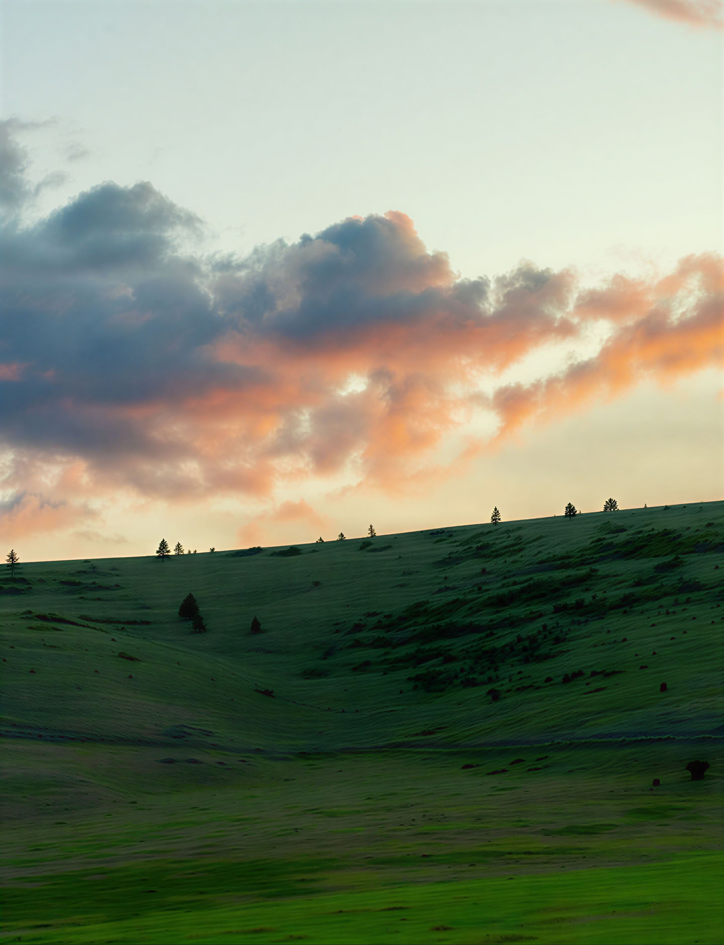 Buddha, Dharma, Sangha-retreat
