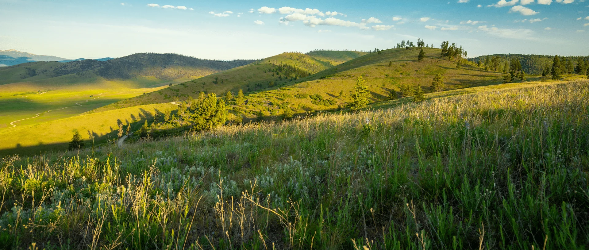 Grön Tara-retreat