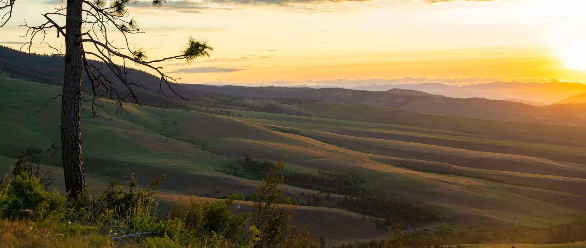 Att hitta lugn och lätthet: tibetansk yoga- och meditationsretreat