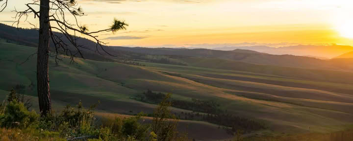 Att hitta lugn och lätthet: tibetansk yoga- och meditationsretreat