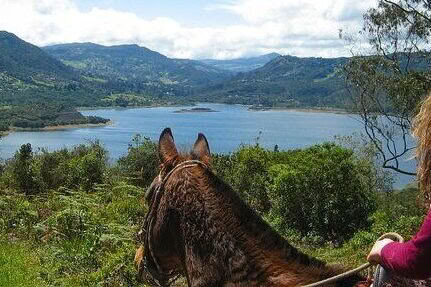 Välmåendelyxretreat i Colombia