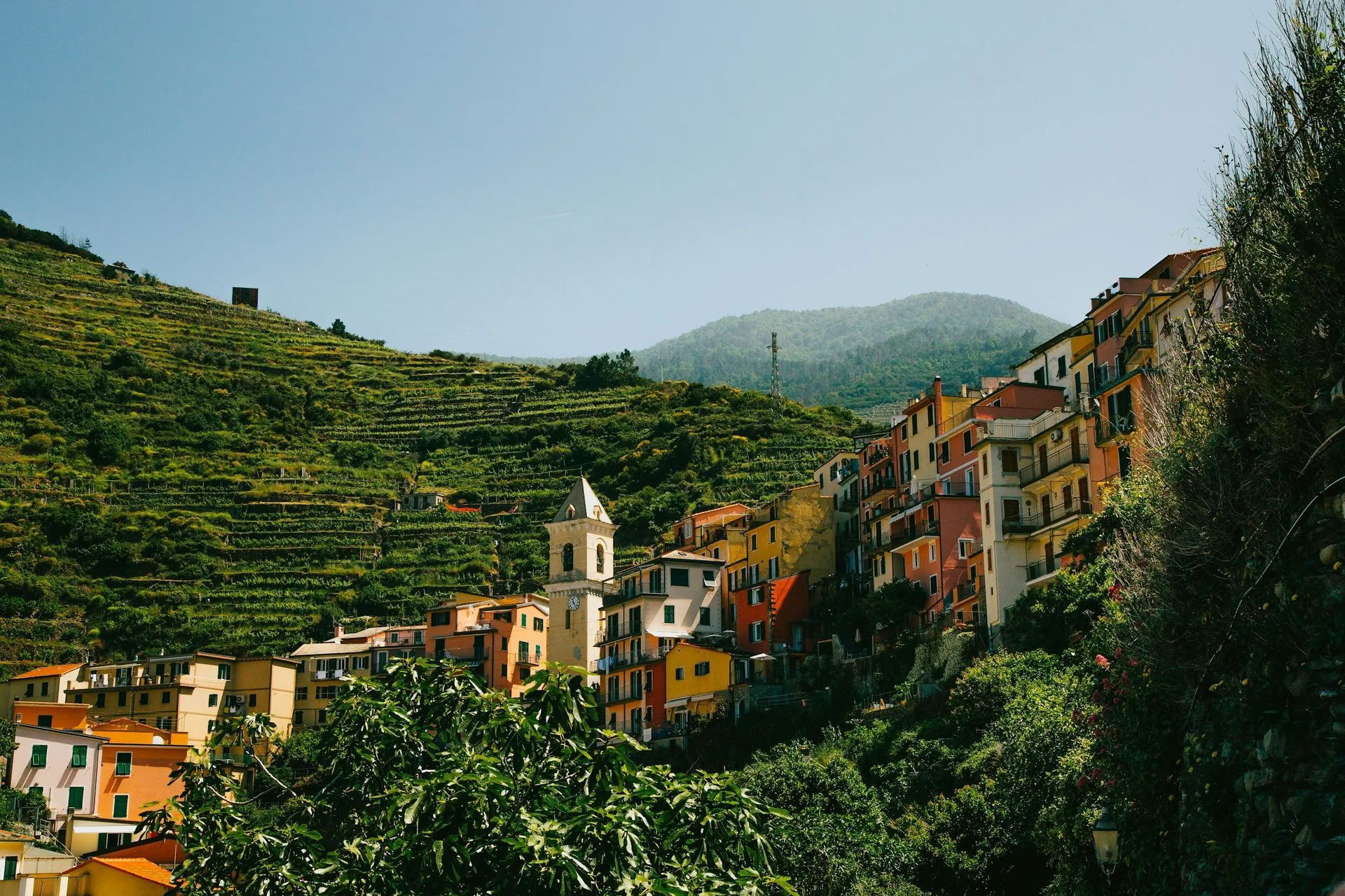 6-dagars Shaktipāt- och meditationsretreat med Lina Leimonte, 6–12 september 2026, på Olea Retreat, Italien