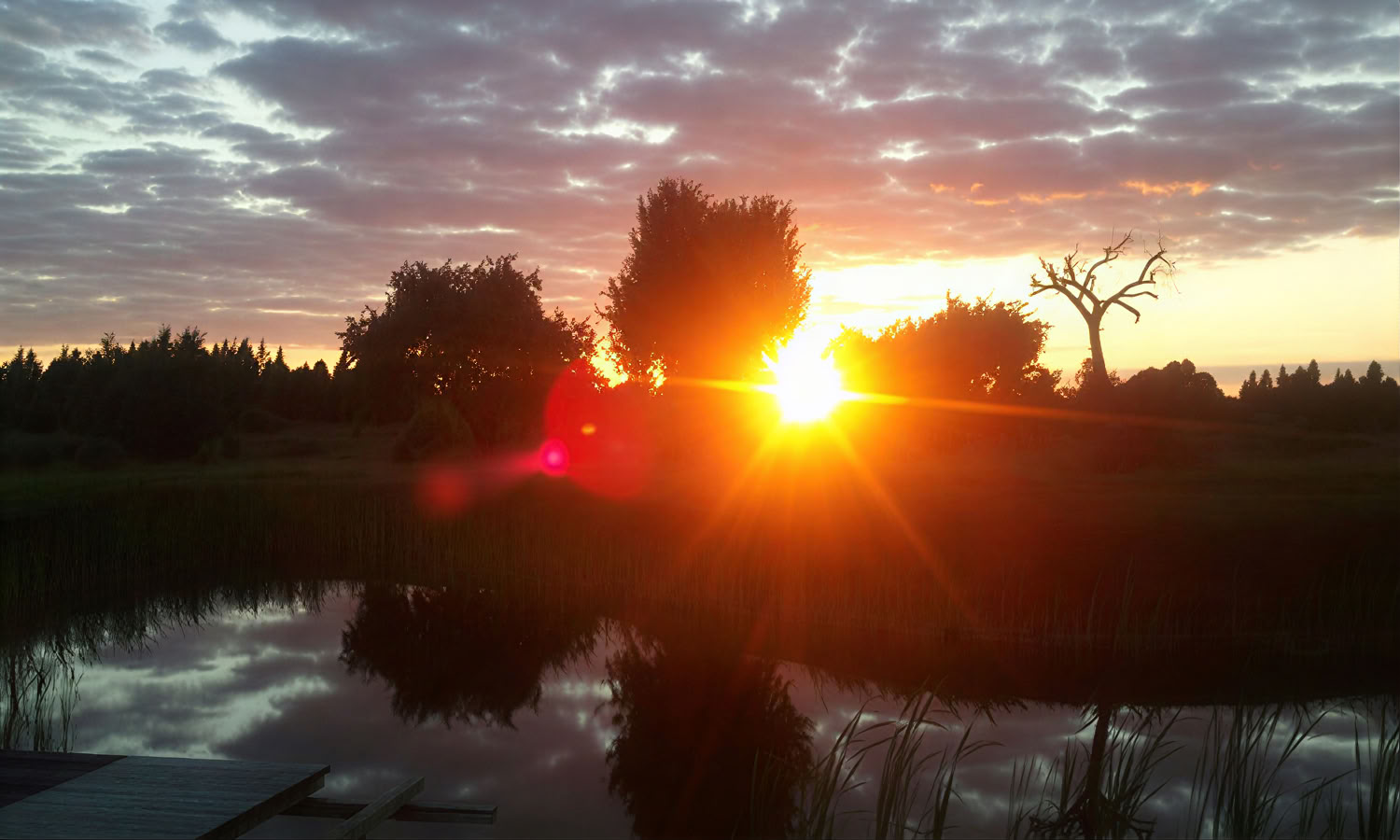 Individuellt retreat i naturen