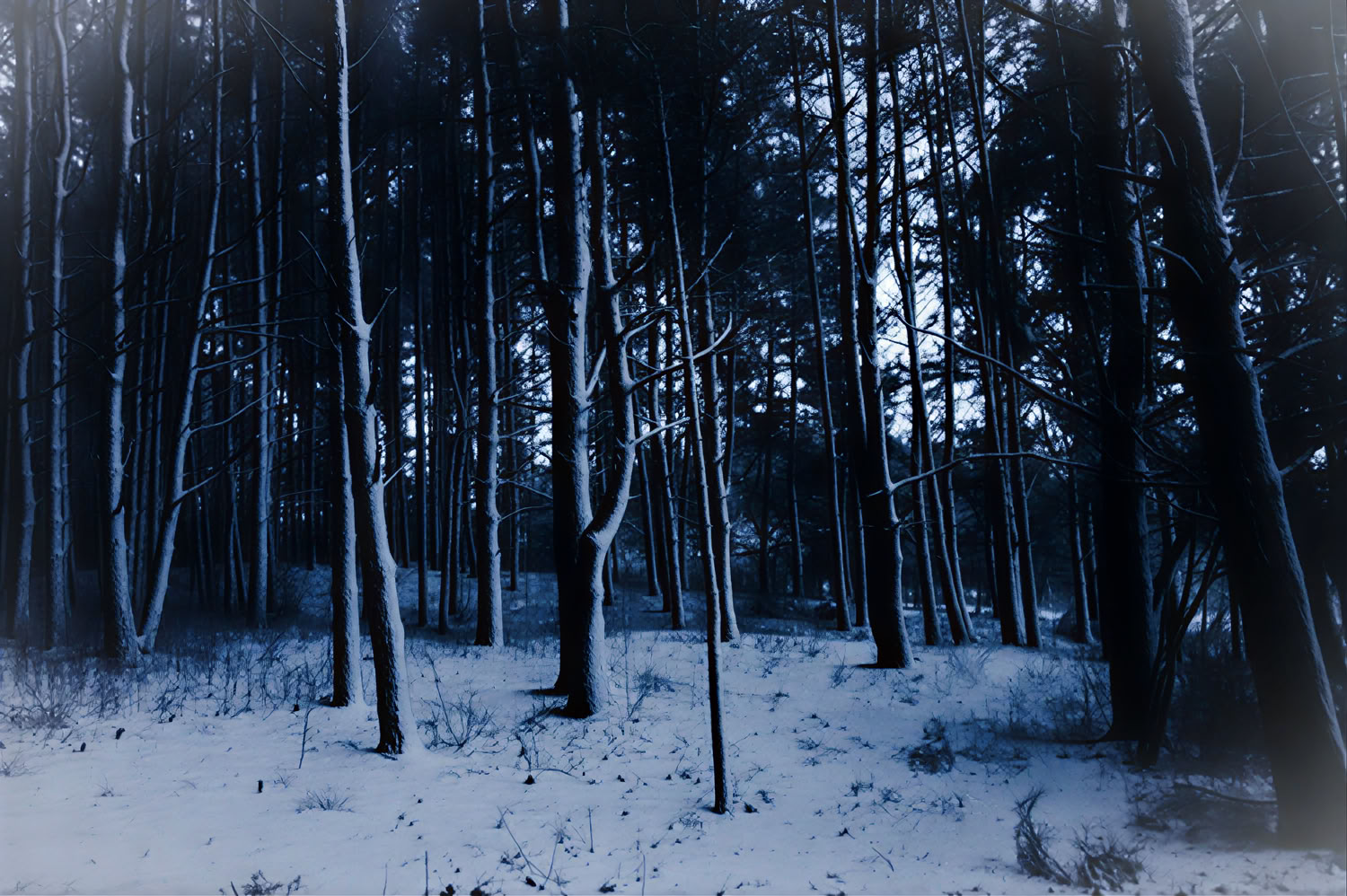 Individuellt retreat i naturen