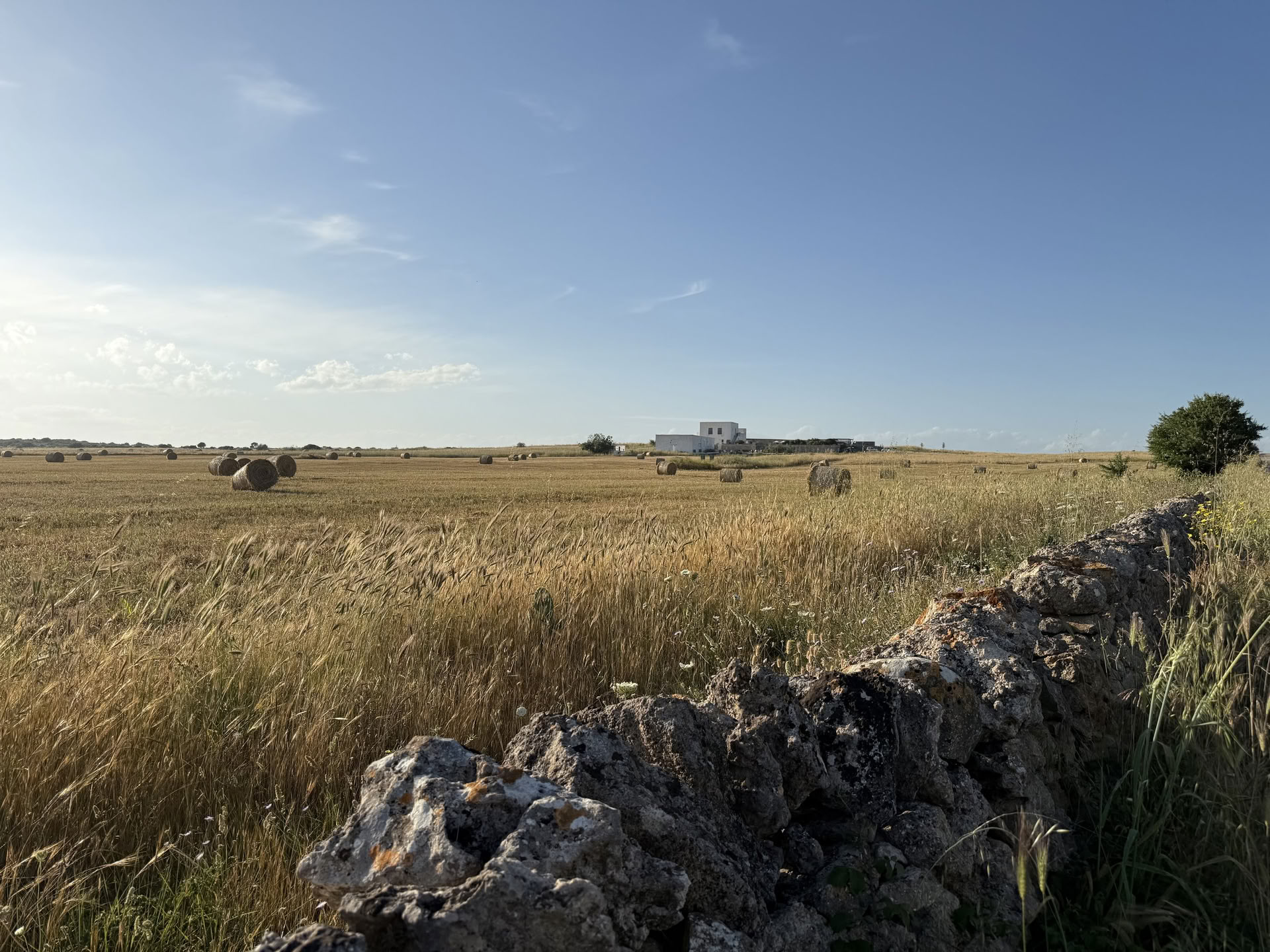 Samtal med platsen: ett kreativt residens på Masseria Specula