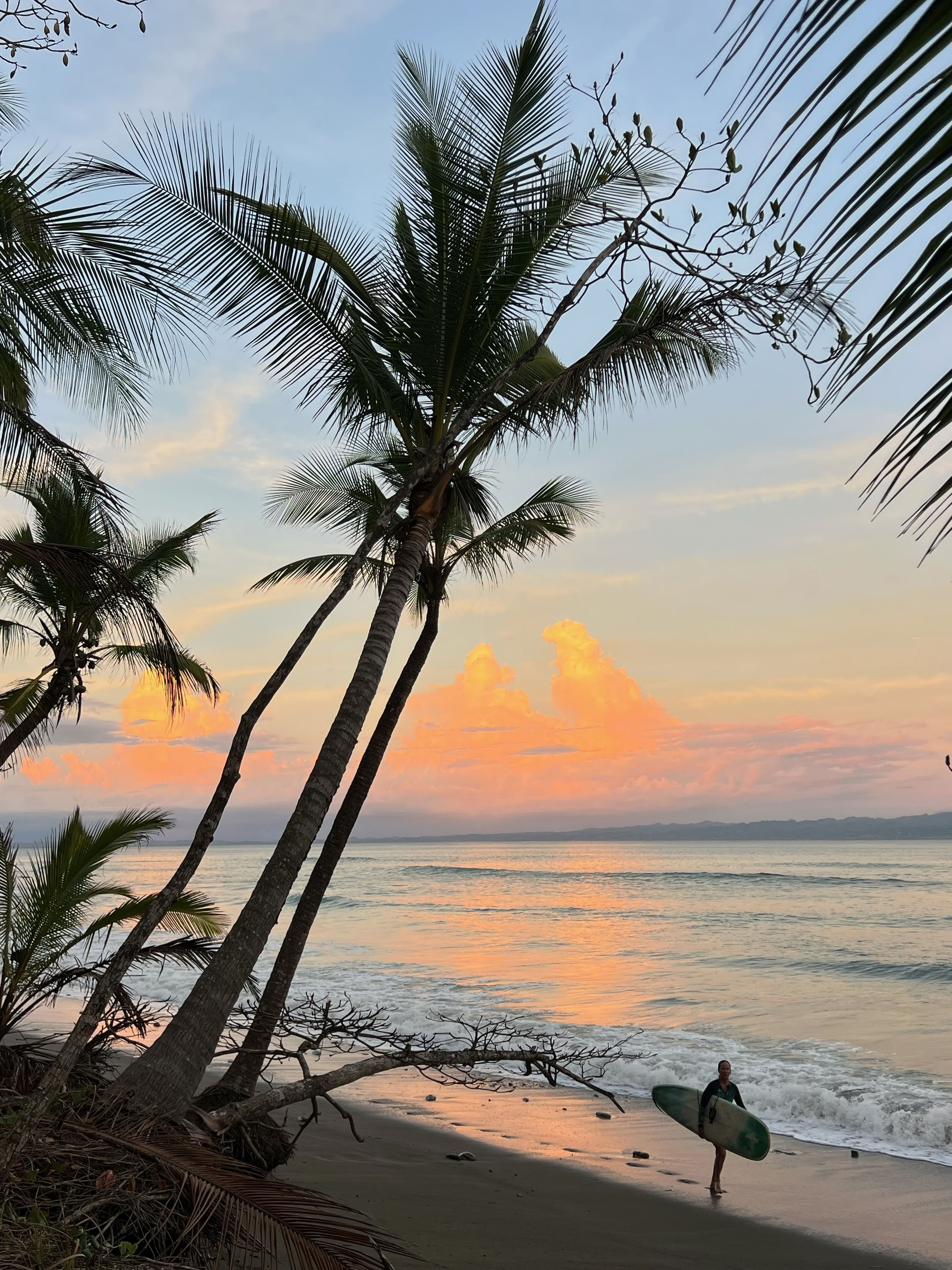 Yoga och surf på Osa-halvön, 13–20 mars 2027 — ASHTANGA MONTAUK