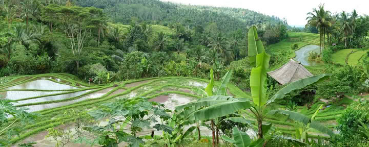Engångserbjudande i Bali