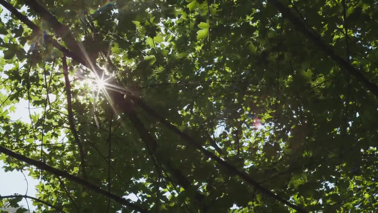Andningsretreat: Andas och börja