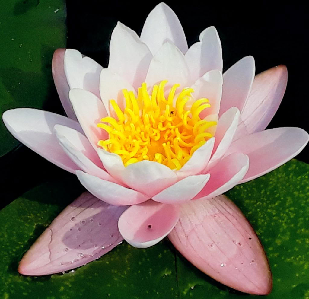 Meditation med lätthet – en medveten tyst retreat
