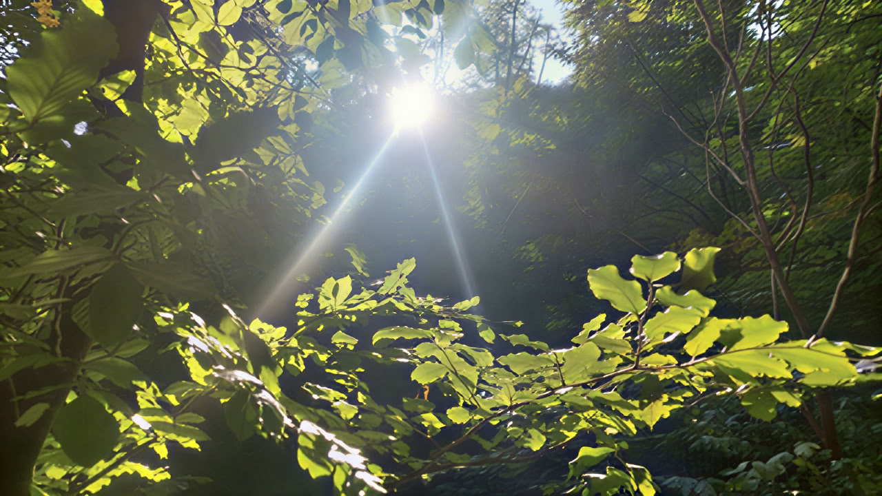 Mindfulness och metta – en yogaveckaend