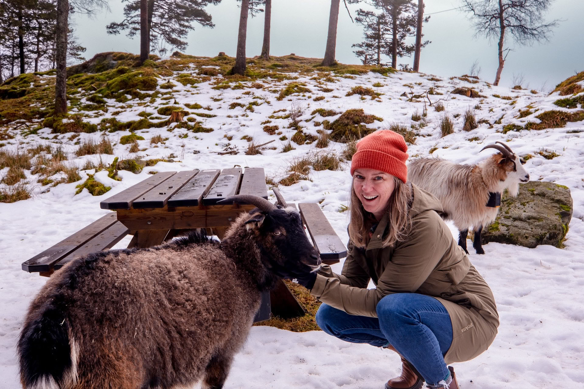 Yoga och backpacking i Norge