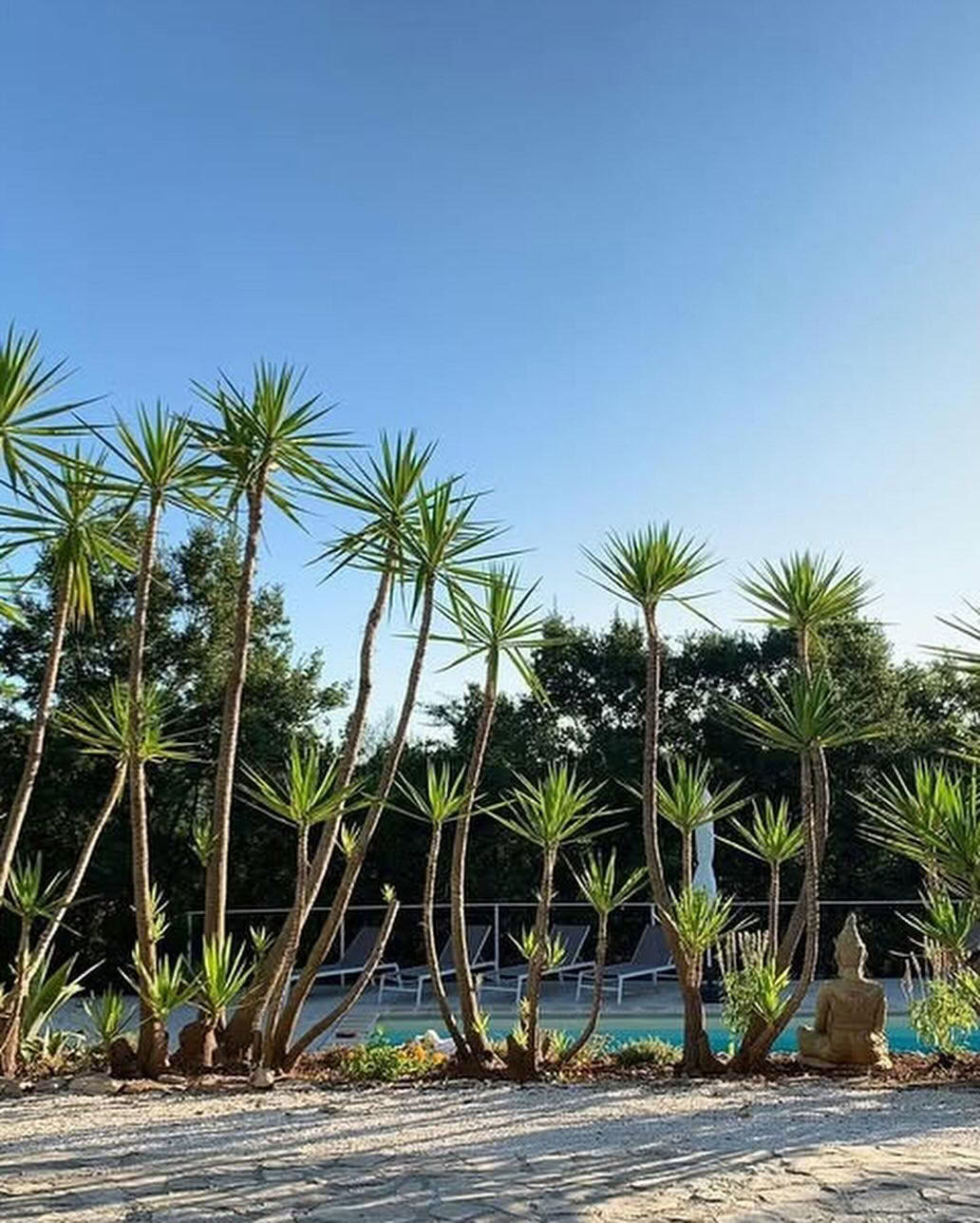 Ashtangayogaretreat i italienska Apulien