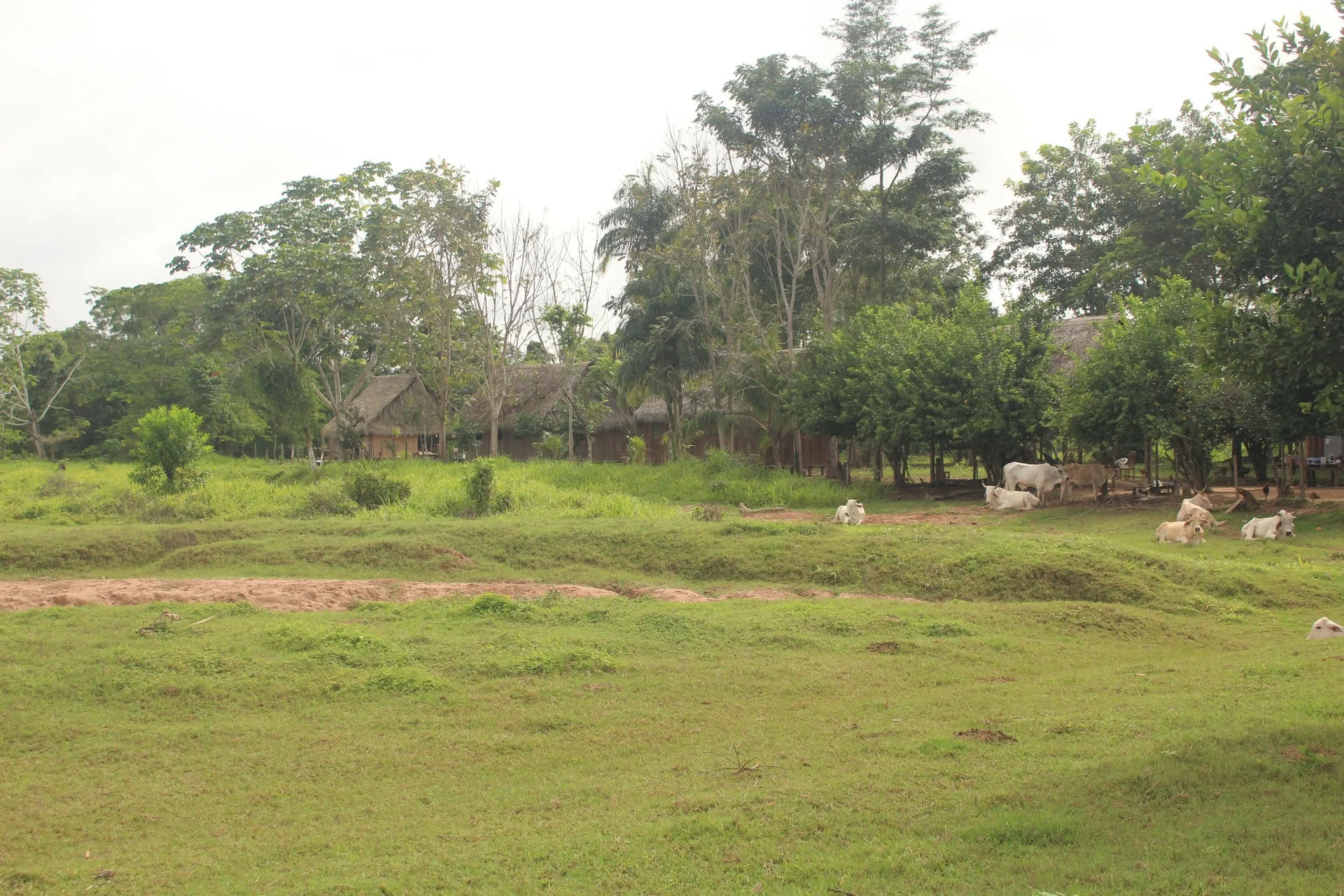 1-veckorsretreat