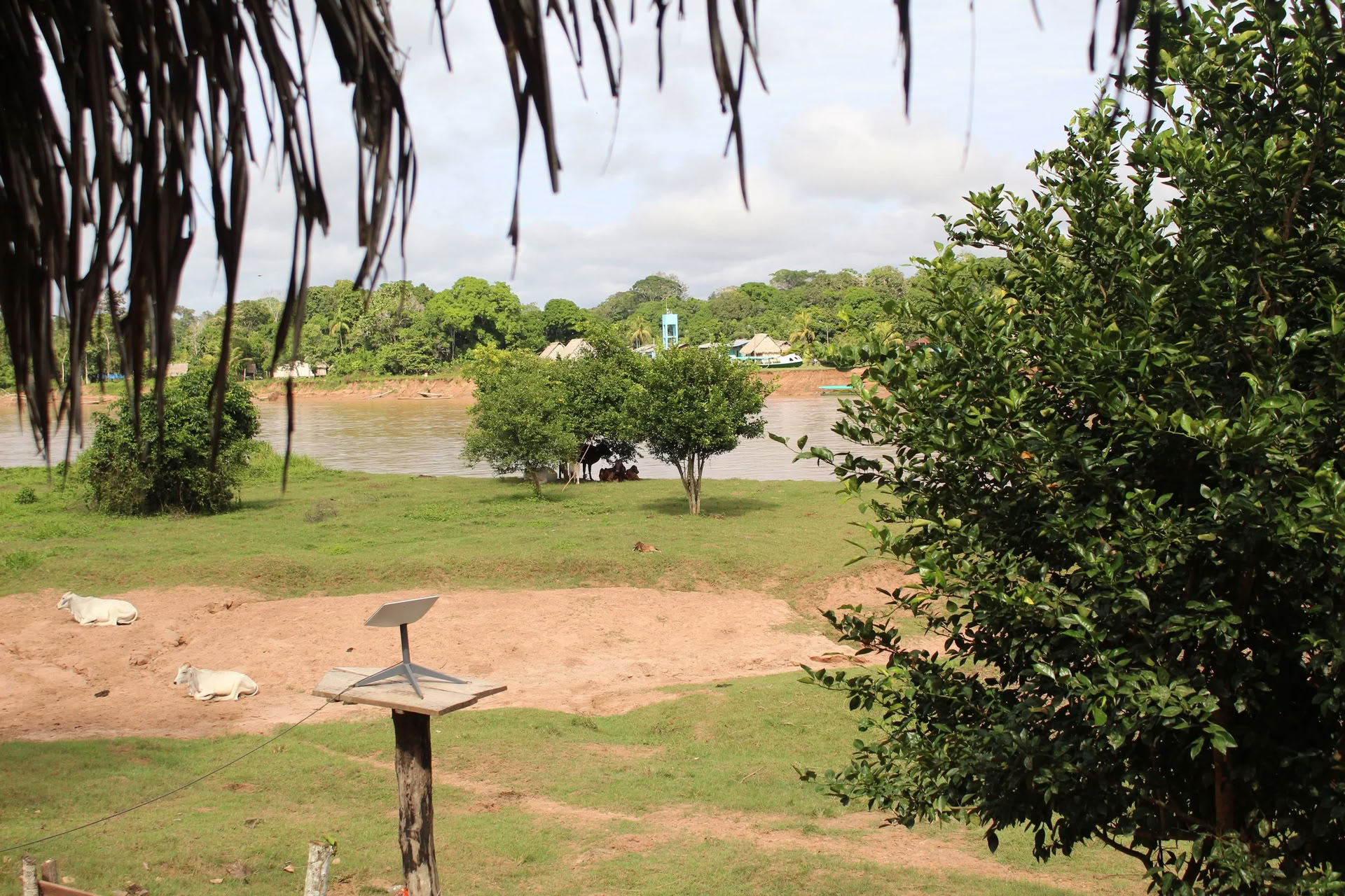2-veckorsretreat