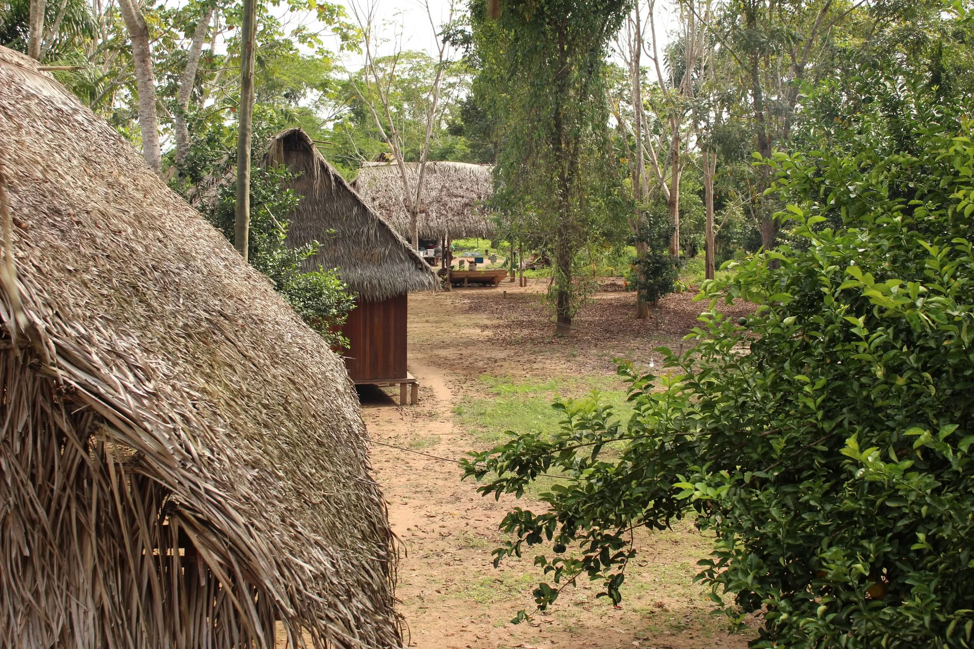 2-veckorsretreat