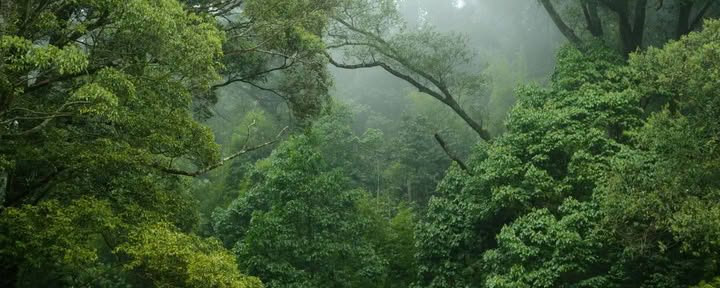 2-veckorsretreat