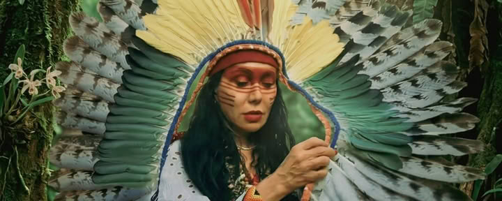 Ayahuasca-ceremonier