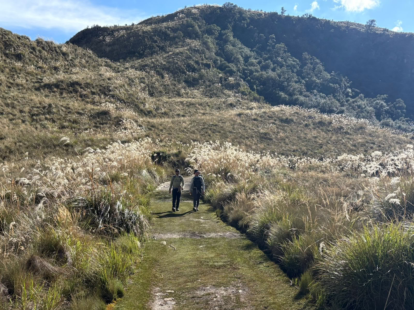 Ayahuasca-retreat · 5–12 juli 2026