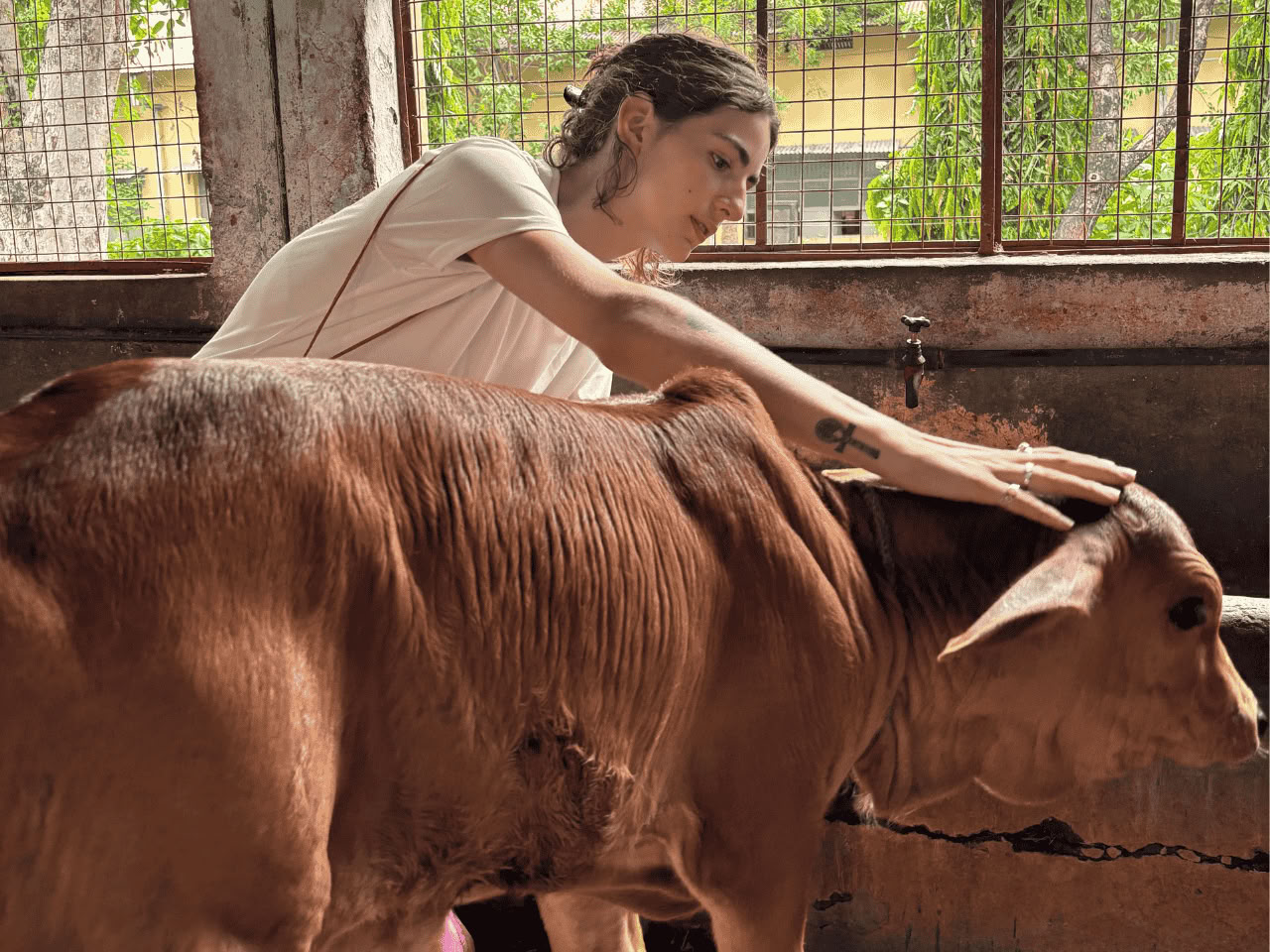 300-timmars avancerad Kundaliniyoga-lärarutbildning i Rishikesh, Indien – april 2026