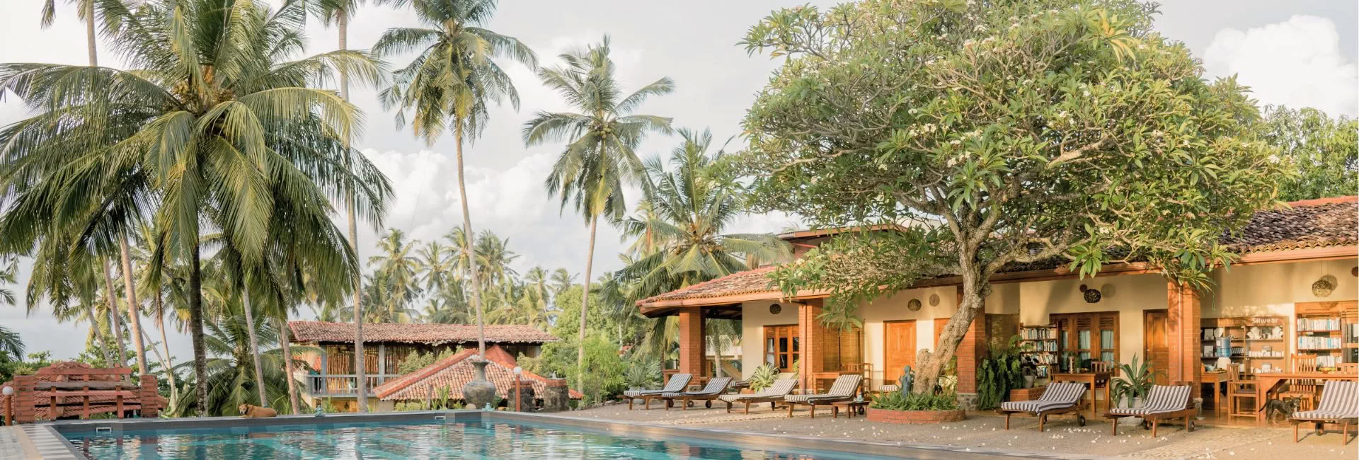 Retreat på Sri Lanka – april 2027