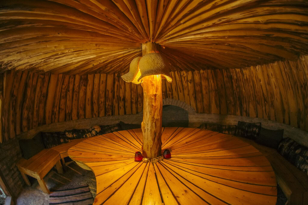 Retreat med ayahuasca och traditionell ursprungsmedicinsk behandling