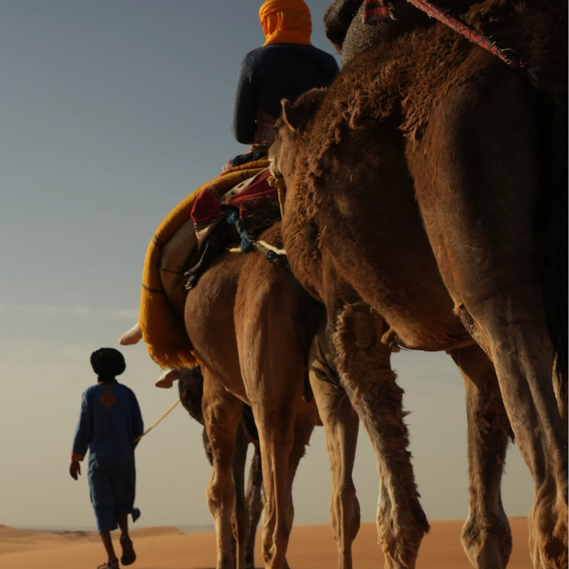 Yoga-karavan – 9 dagar från norra Marocko till Merzougas sanddyner