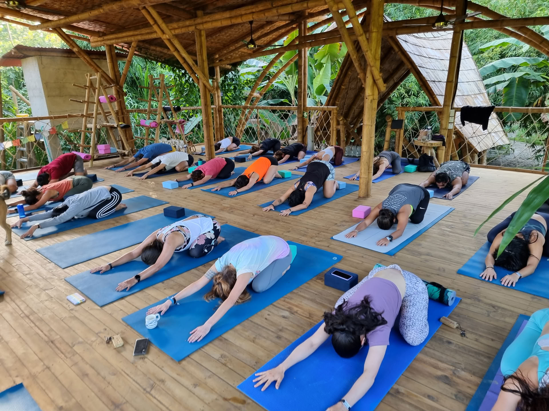 Yogalärarutbildning 200 timmar